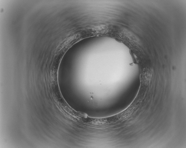 X0000059820756200510241355