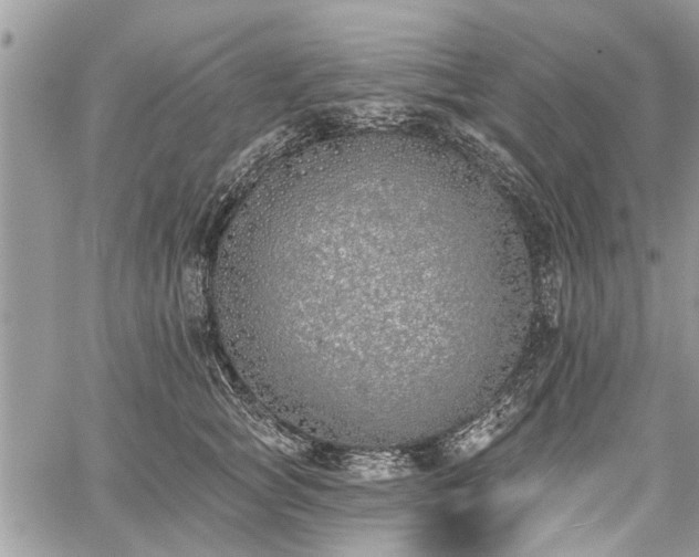 X0000059820757200510241355