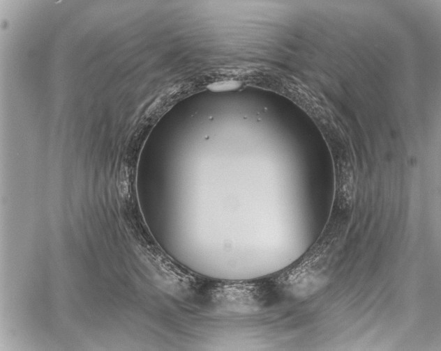 X0000059820758200510241355