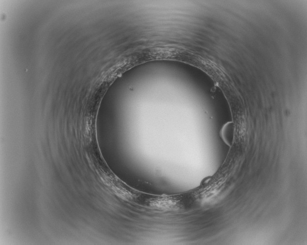 X0000059820759200510241355