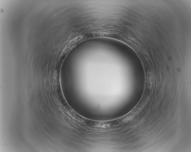 X0000059820760200510241355