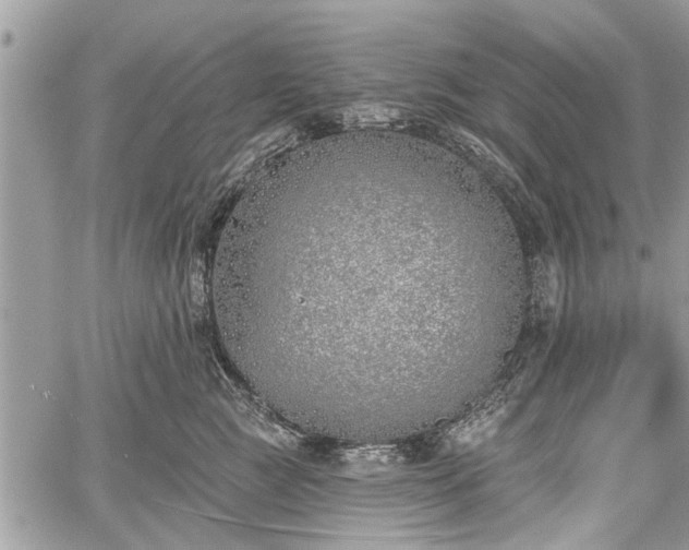 X0000059820761200510241355