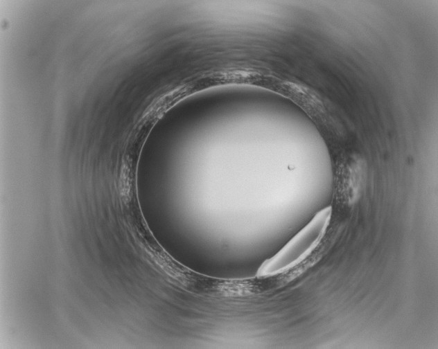 X0000059820762200510241355