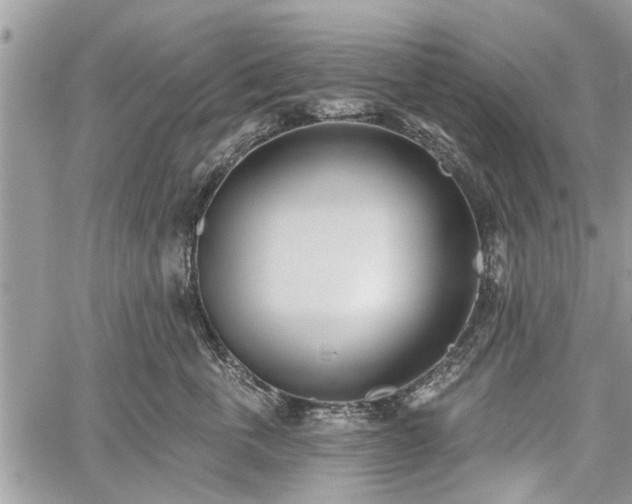 X0000059820763200510241355