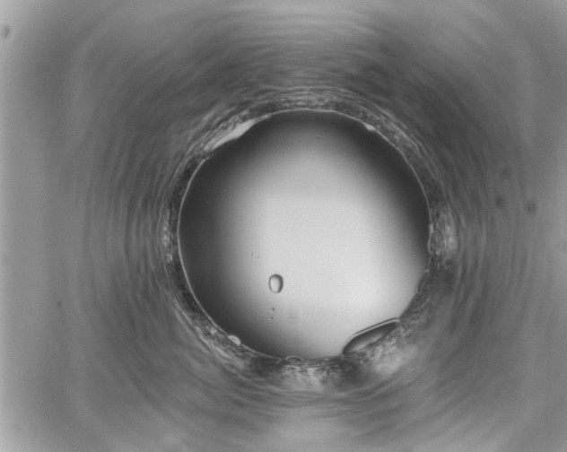 X0000059820764200510241355