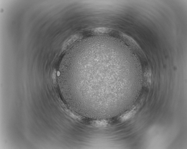 X0000059820765200510241355