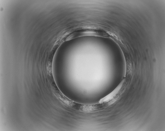 X0000059820766200510241355