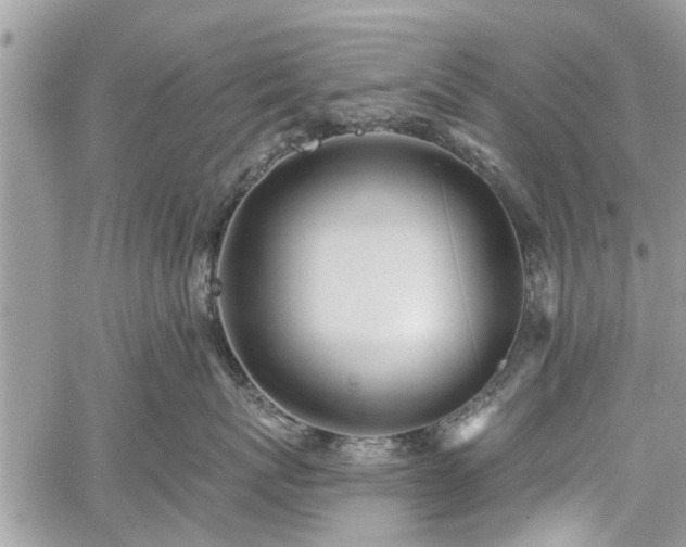 X0000059820767200510241355