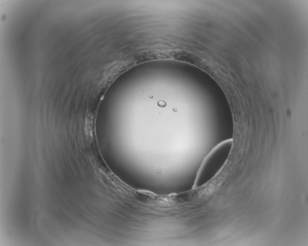 X0000059820768200510241355