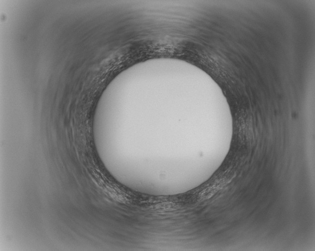 X0000059820769200510241355