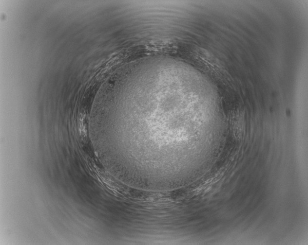 X0000059820770200510241355