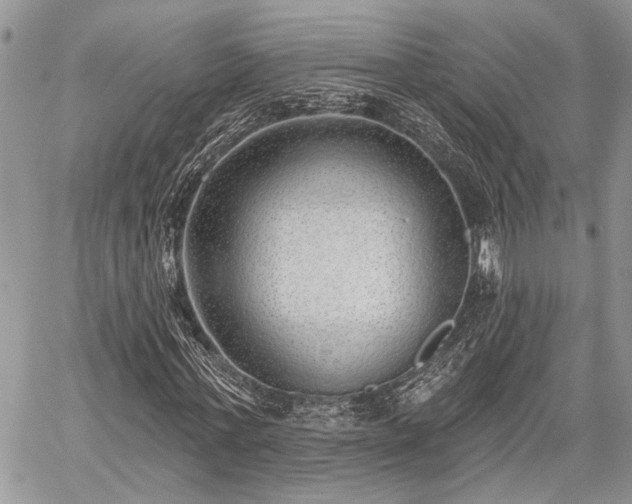 X0000059820771200510241355