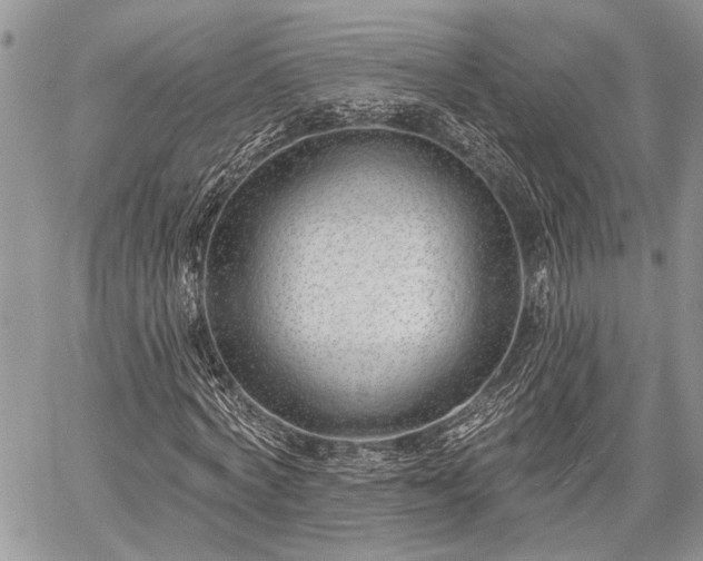 X0000059820772200510241355