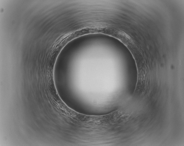 X0000059820773200510241354