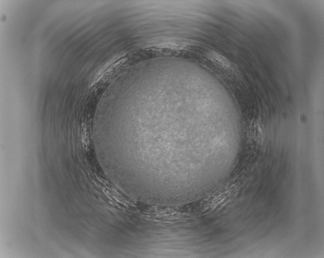 X0000059820774200510241354