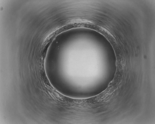 X0000059820775200510241354