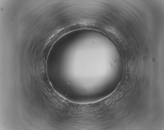 X0000059820776200510241354