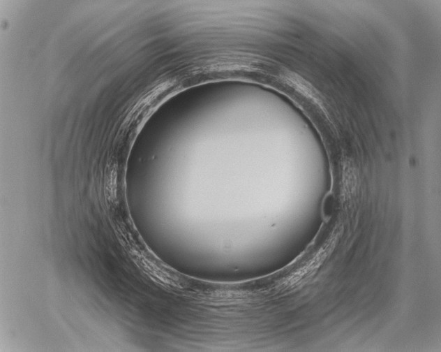 X0000059820777200510241354