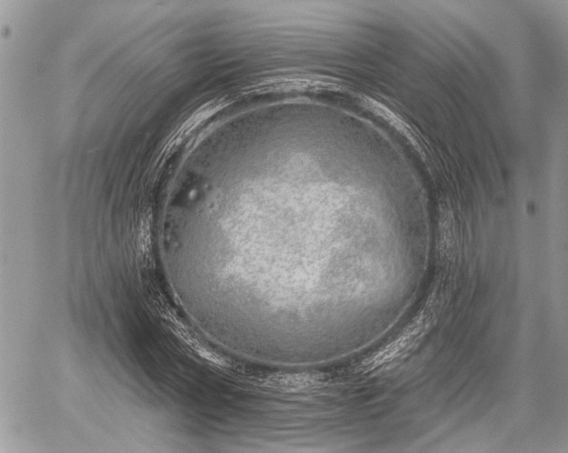 X0000059820778200510241354