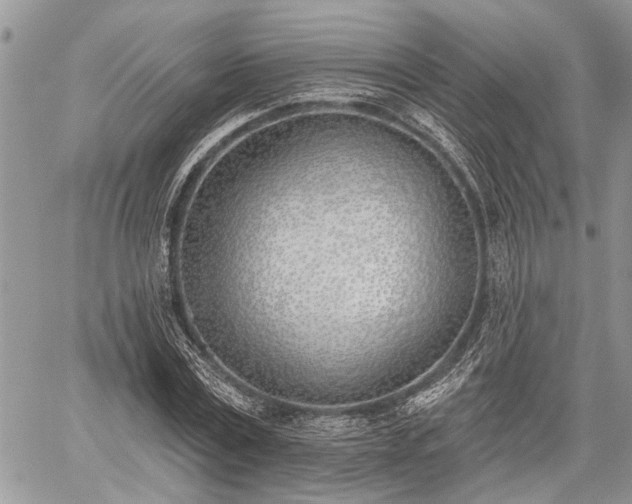 X0000059820779200510241354