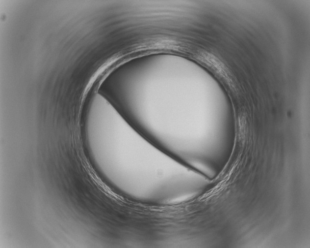 X0000059820780200510241354