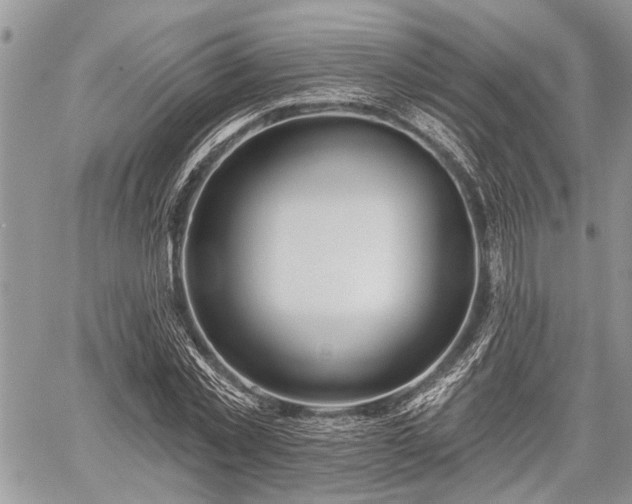 X0000059820781200510241354