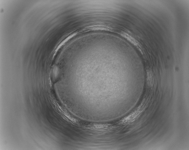 X0000059820782200510241354