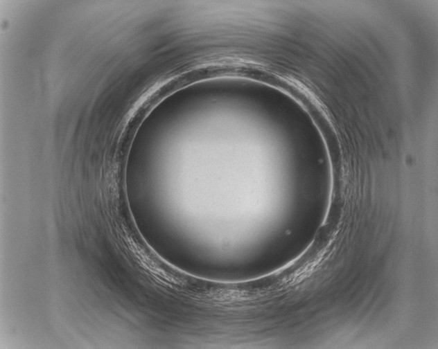 X0000059820783200510241354