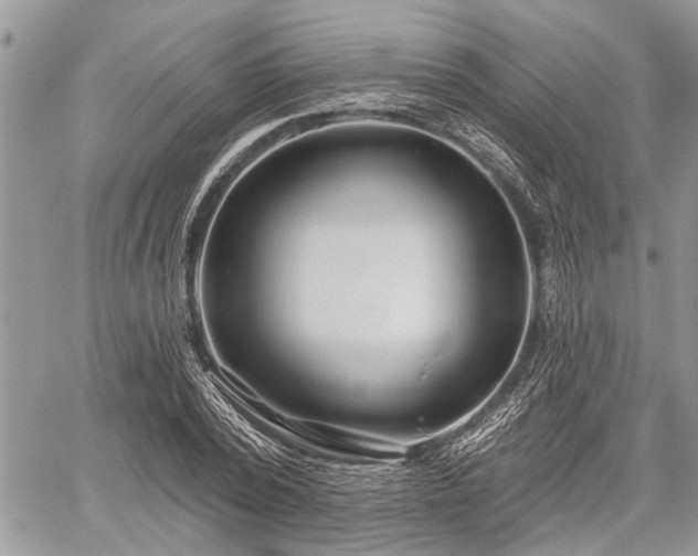 X0000059820784200510241354