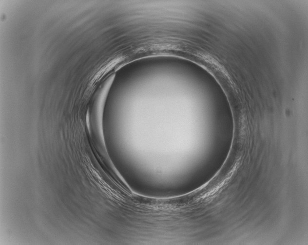 X0000059820785200510241354