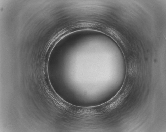 X0000059820786200510241354