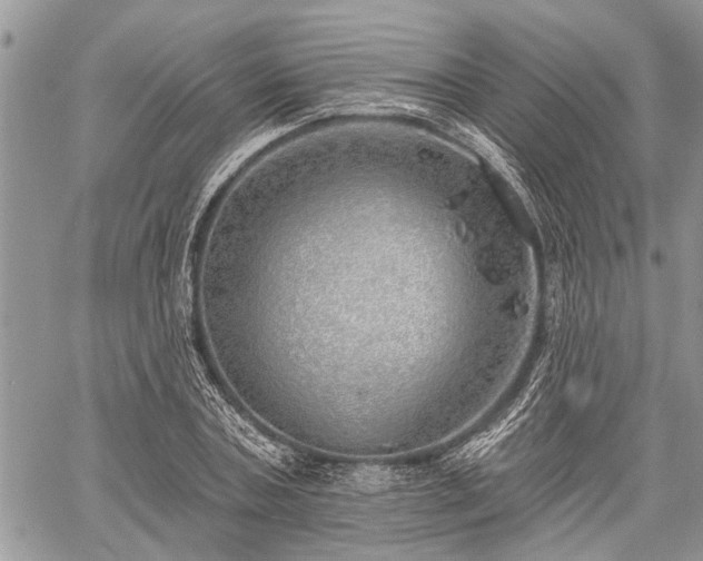 X0000059820787200510241354