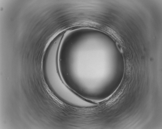 X0000059820788200510241354