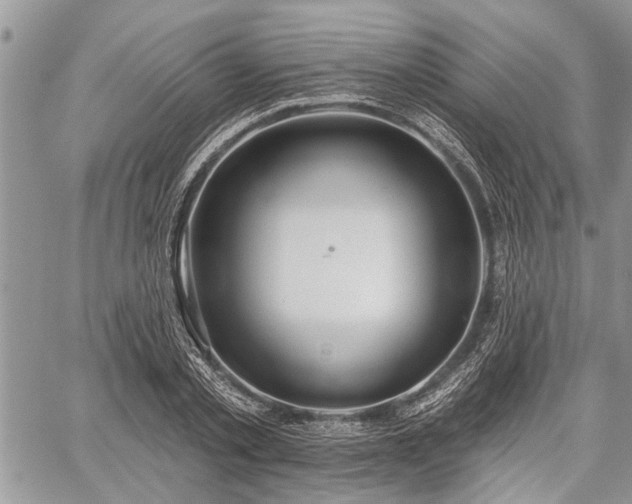 X0000059820789200510241354