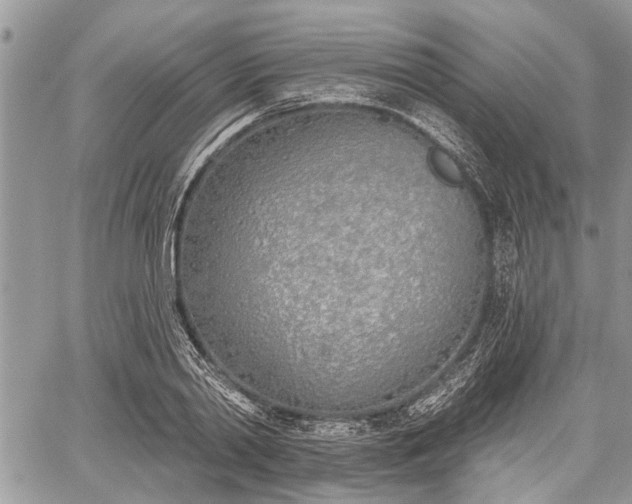 X0000059820790200510241354