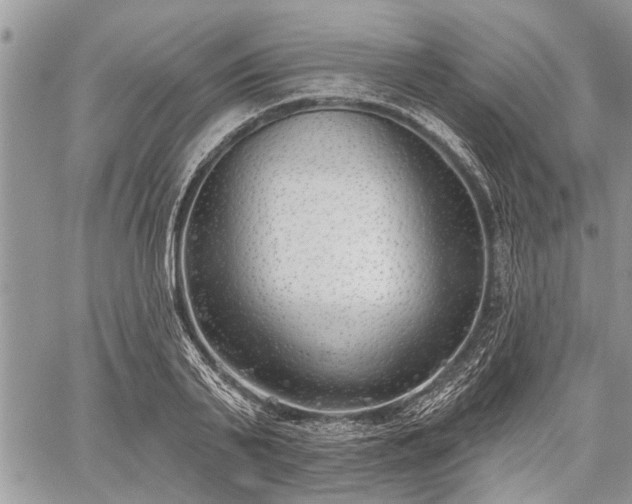 X0000059820791200510241354