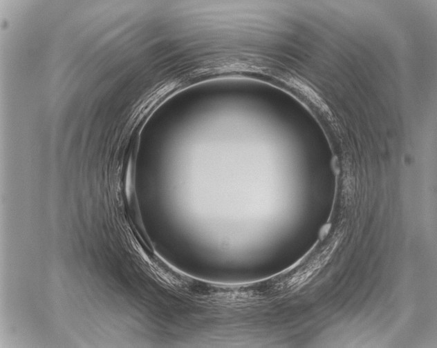 X0000059820793200510241354