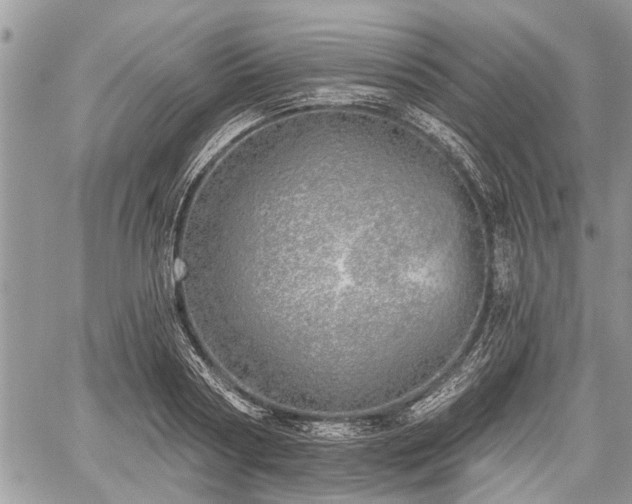 X0000059820794200510241354