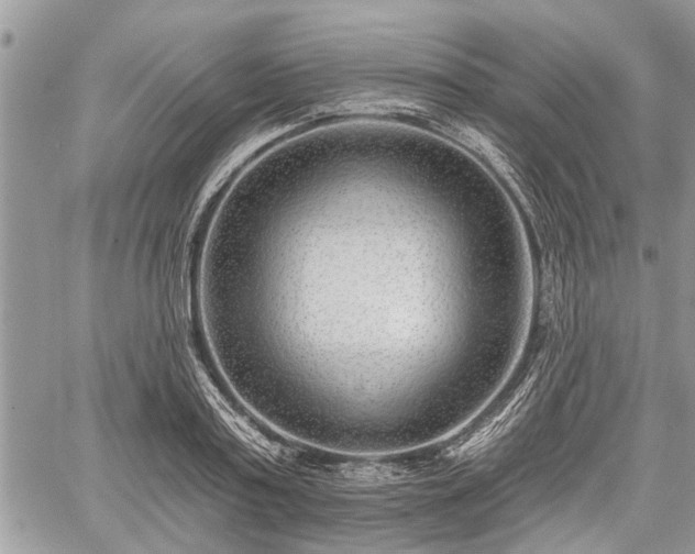 X0000059820795200510241354