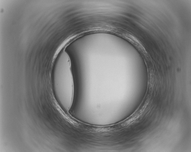 X0000059820796200510241354