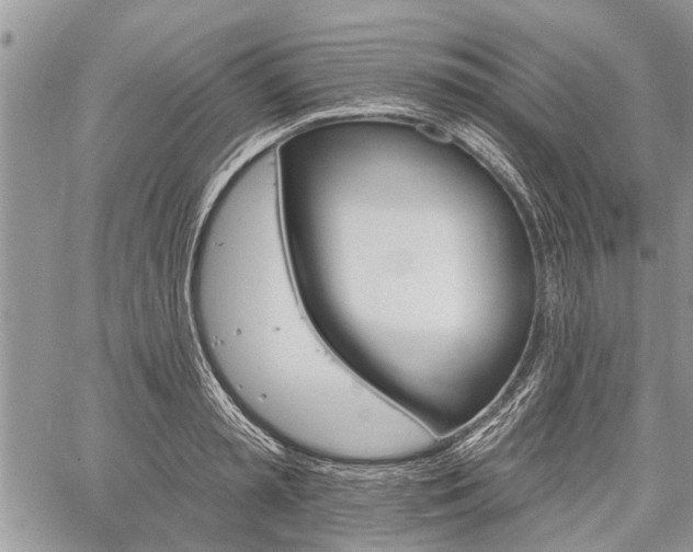 X0000059820797200510241354