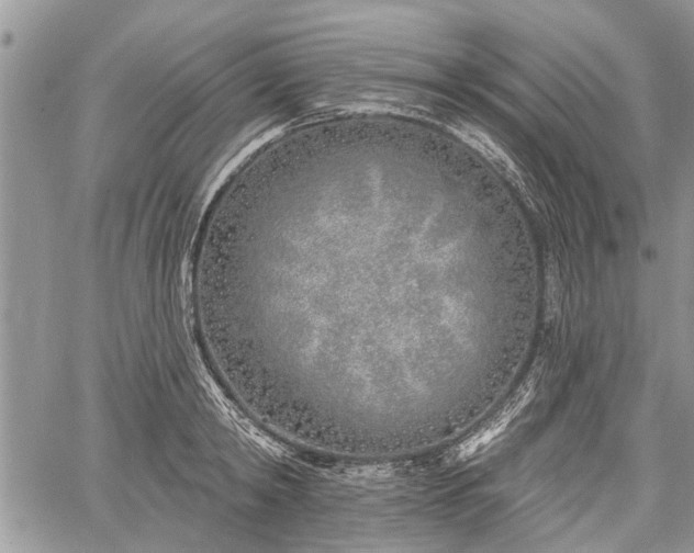 X0000059820798200510241354