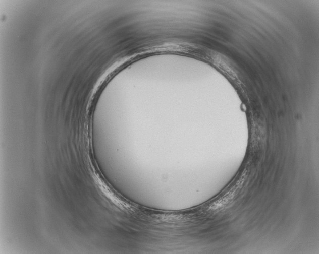 X0000059820800200510241354