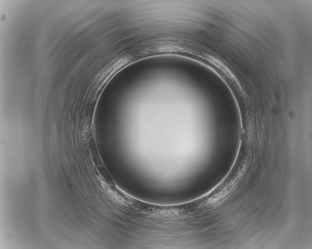 X0000059820801200510241354