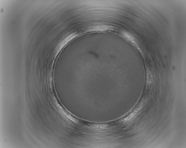 X0000059820802200510241354