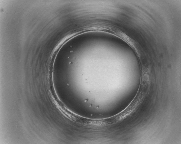 X0000059820803200510241354