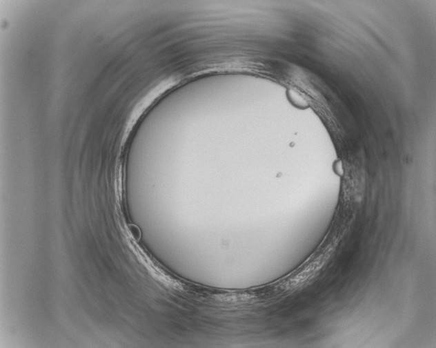 X0000059820804200510241354