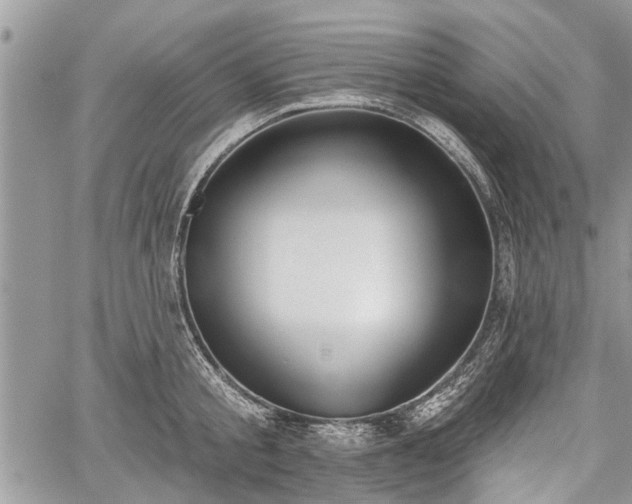 X0000059820805200510241354