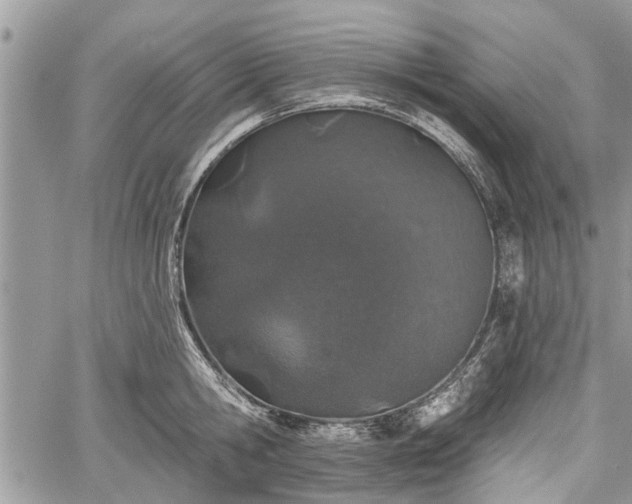 X0000059820806200510241354