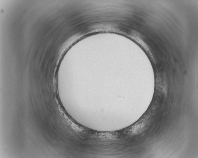 X0000059820807200510241354